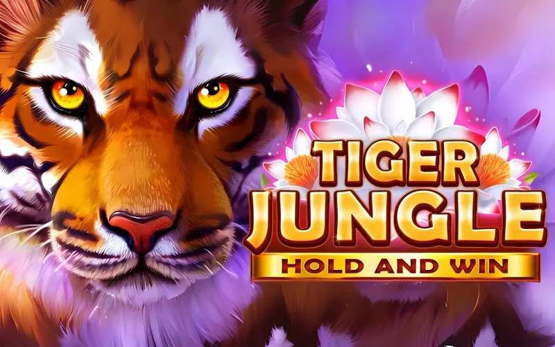 Have fun and make your best in the Tiger Jungle game at Banzai Bet.